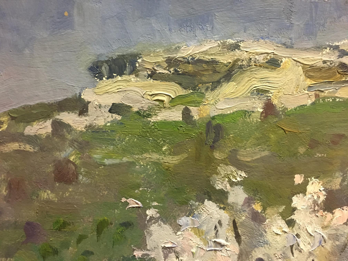 Oil painting Blooming tree Golub Stepan Filippovich