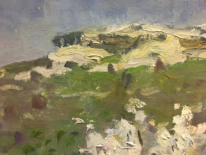 Oil painting Blooming tree Golub Stepan Filippovich