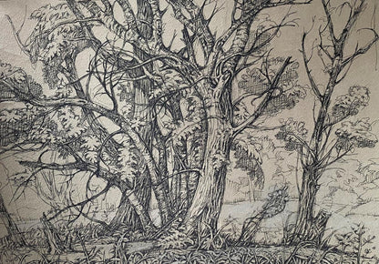 Ink painting Trees Litvinov Oleg Arkad'yevich