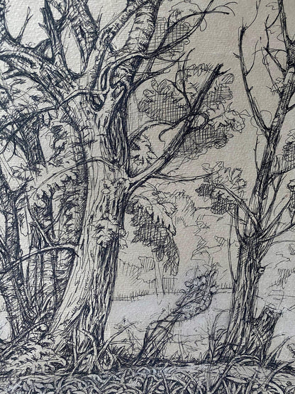 Ink painting Trees Litvinov Oleg Arkad'yevich