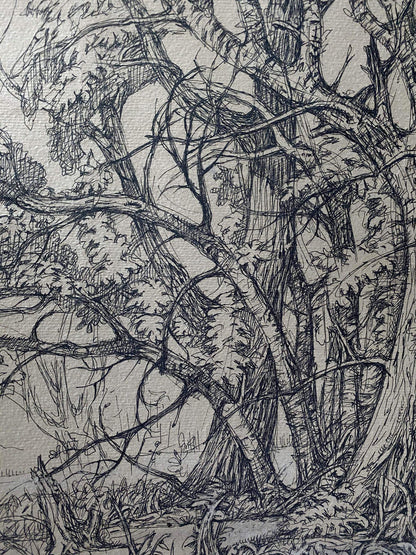 Ink painting Trees Litvinov Oleg Arkad'yevich