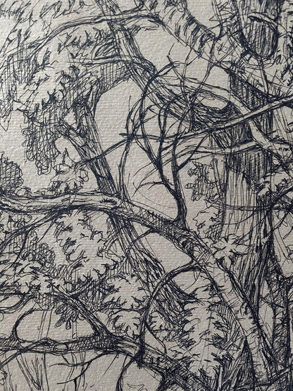 Ink painting Trees Litvinov Oleg Arkad'yevich