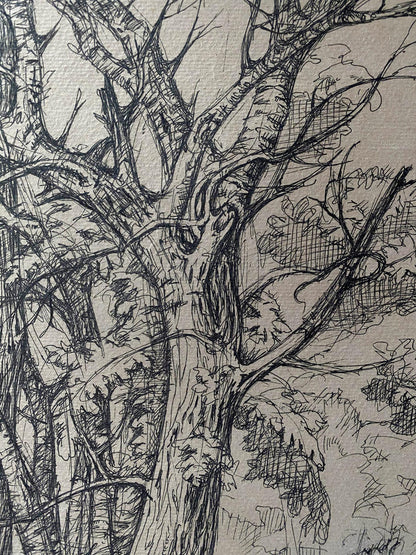 Ink painting Trees Litvinov Oleg Arkad'yevich