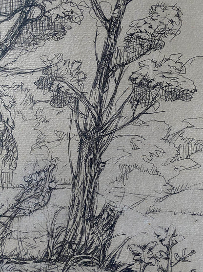 Ink painting Trees Litvinov Oleg Arkad'yevich