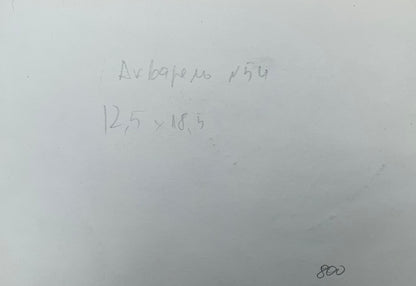 Watercolor painting House on the shore Viktor Mikhailichenko