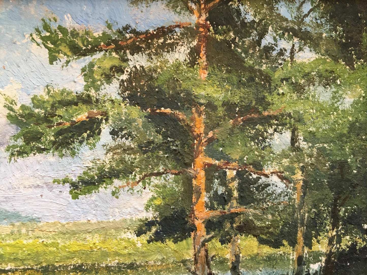 Oil painting Pleasant natural views Andrew Bagno