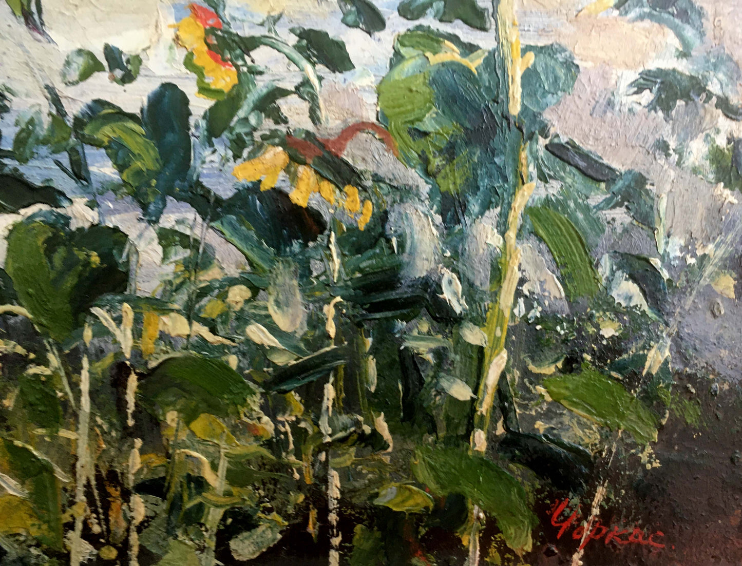 Oil painting Landscape with sunflowers Cherkas A .G.
