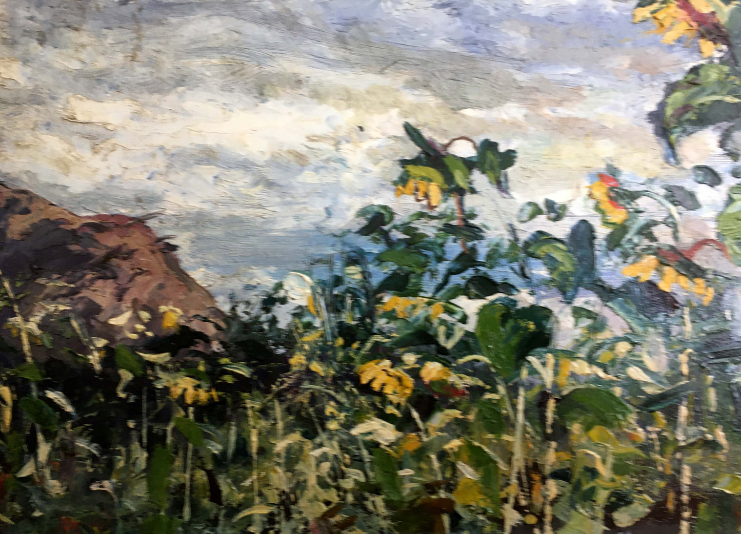 Oil painting Landscape with sunflowers Cherkas A .G.