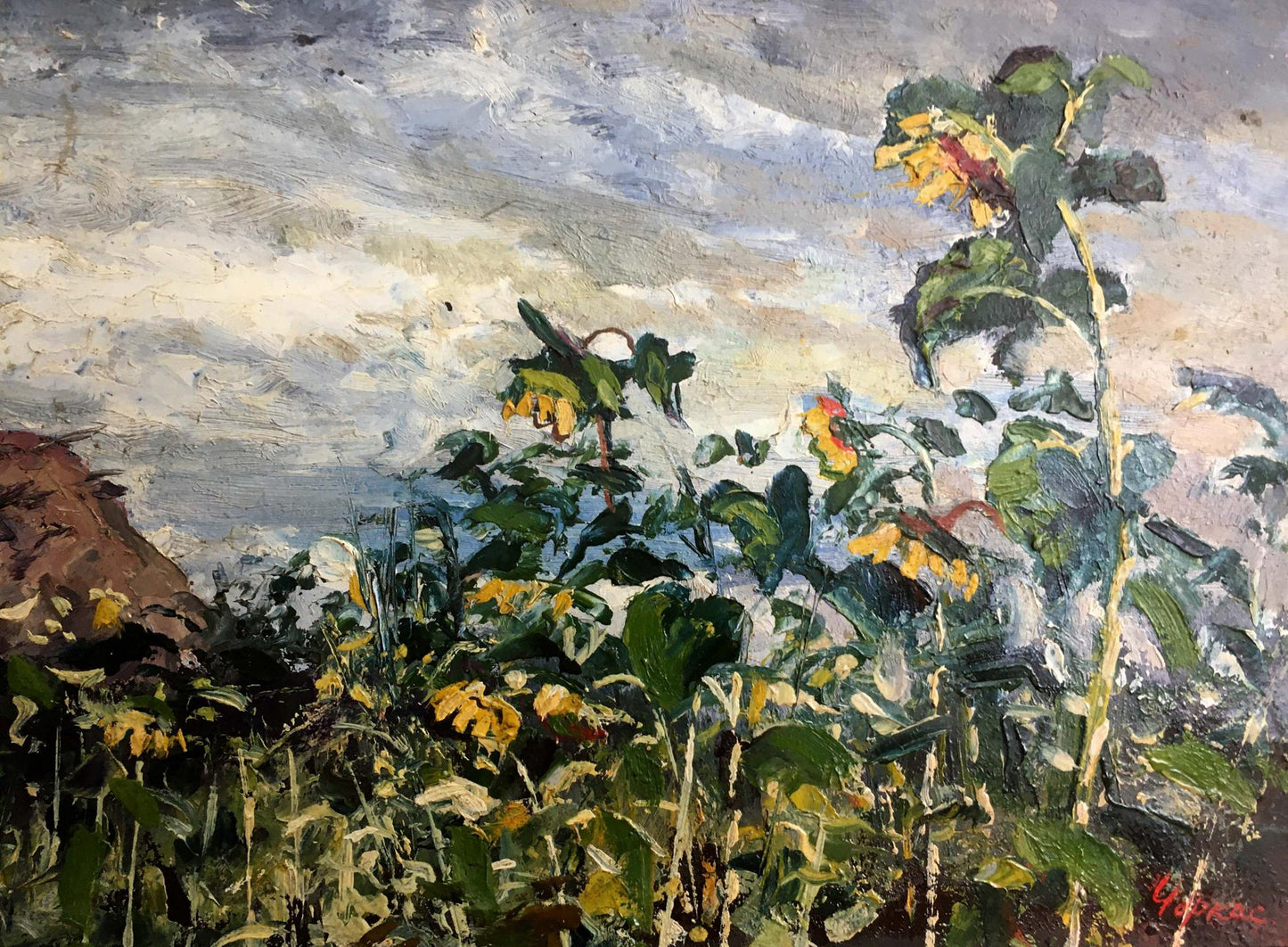 Oil painting Landscape with sunflowers Cherkas A .G.