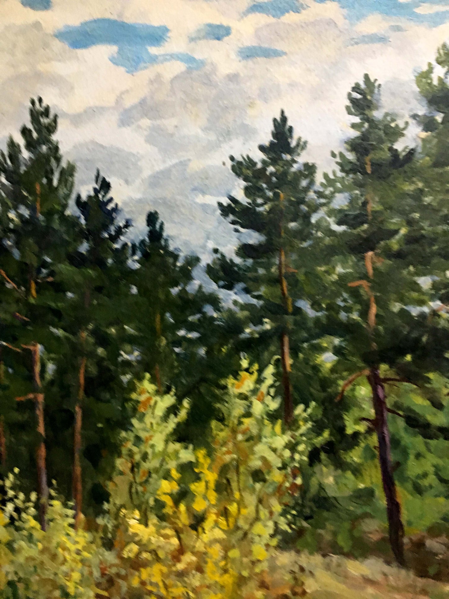 Oil double painting summer nature A. Cherkas