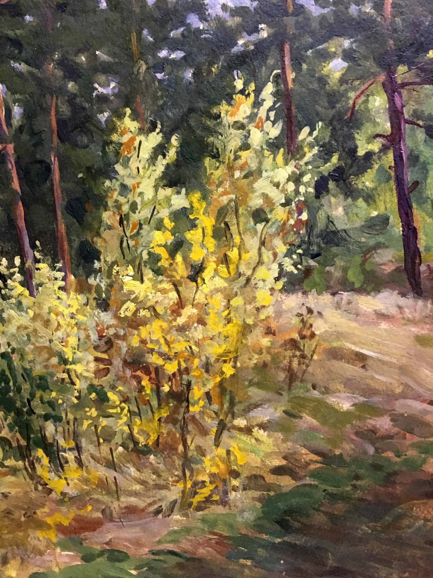 Oil double painting summer nature A. Cherkas
