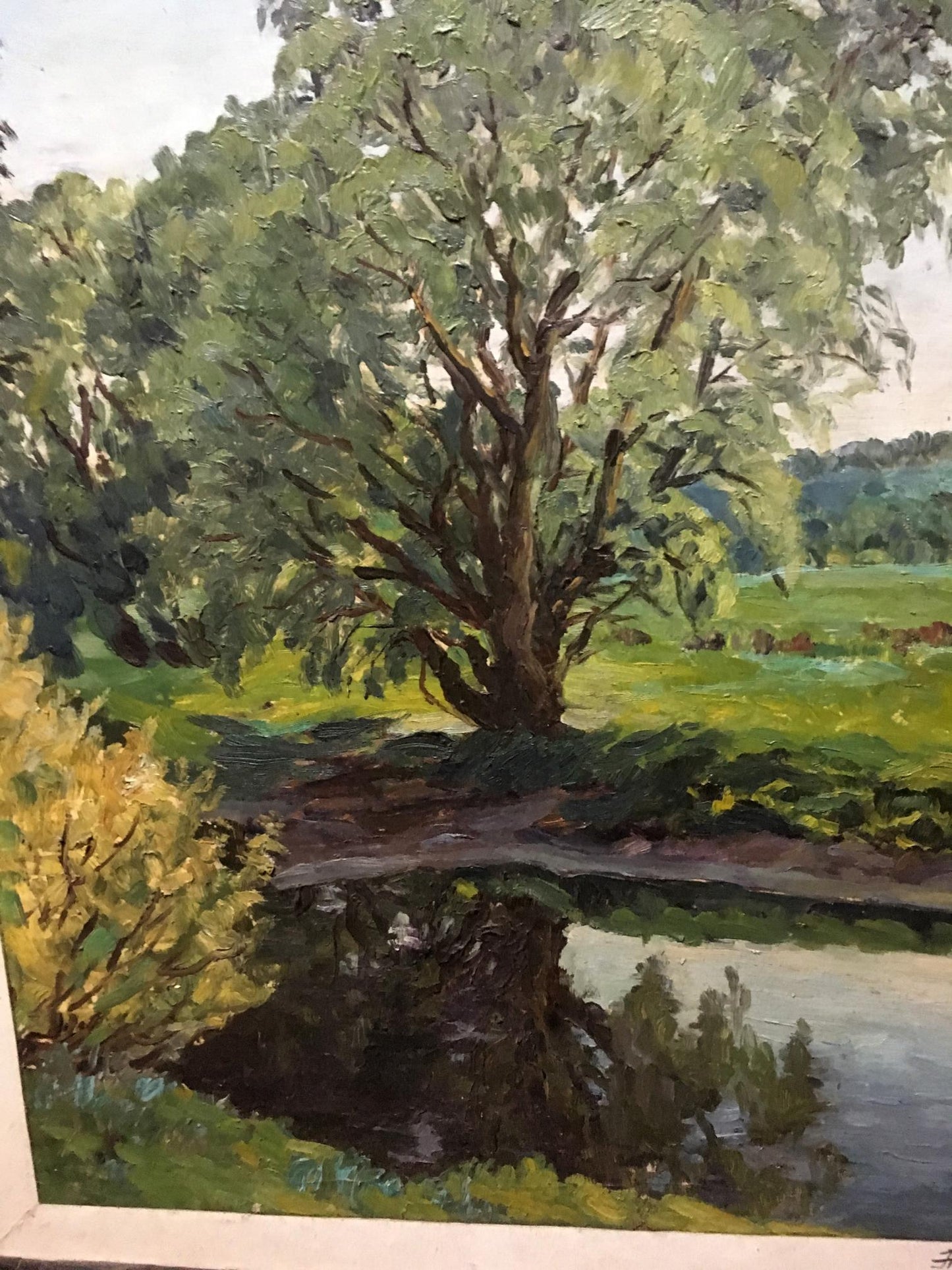 Oil painting Tree pond Alexander Georgievich Cherkass