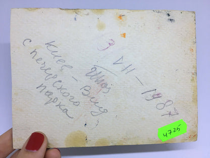 In Popov I. A.'s oil painting, the tranquility and allure of Pechersky Park come to life