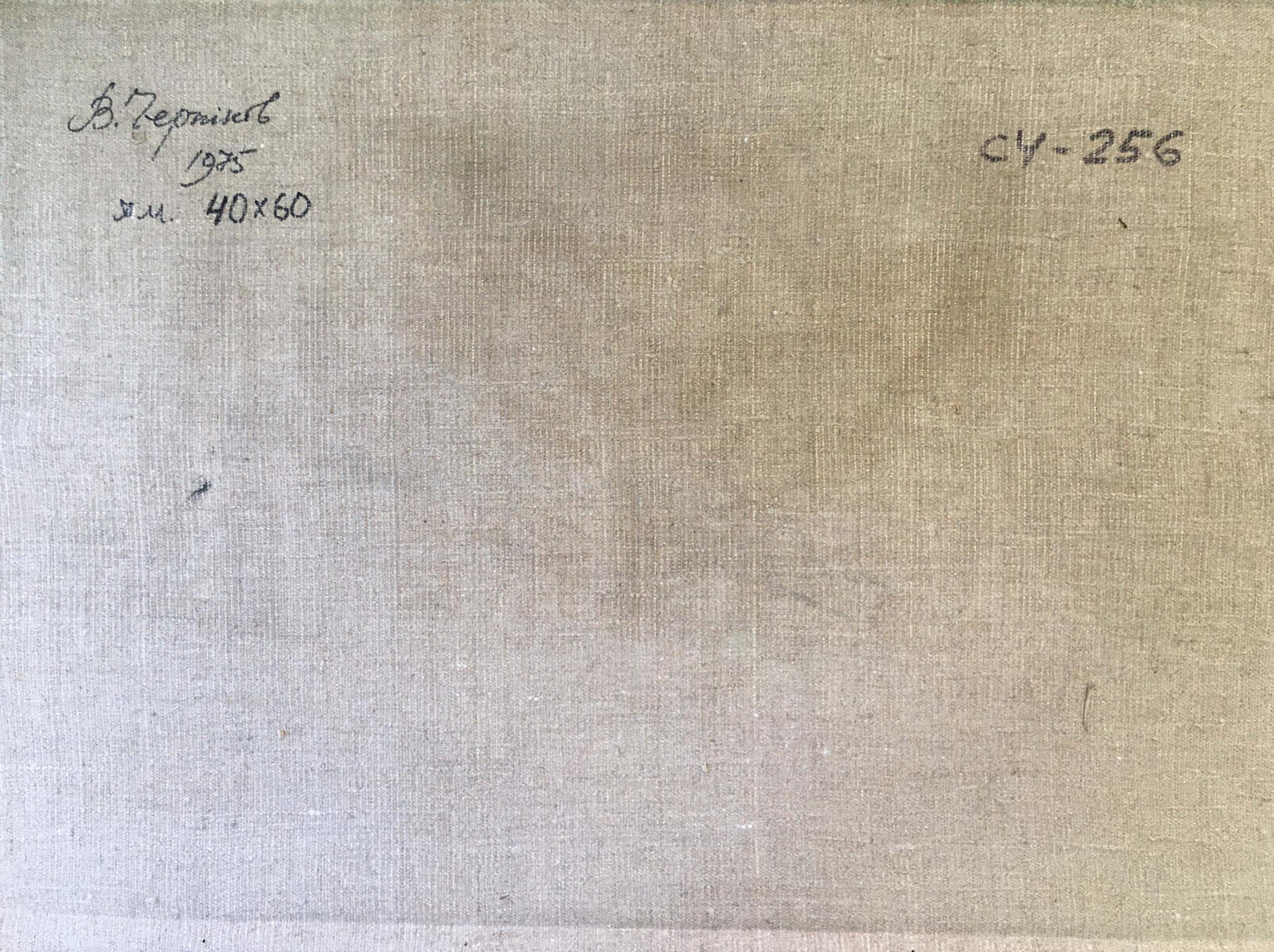 Oil painting House on the outskirts Chernikov Vladimir Mikhailovich