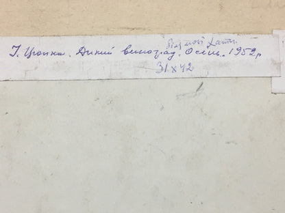 Watercolor painting Grapes near my house Ivan Kirillovich Tsyupka