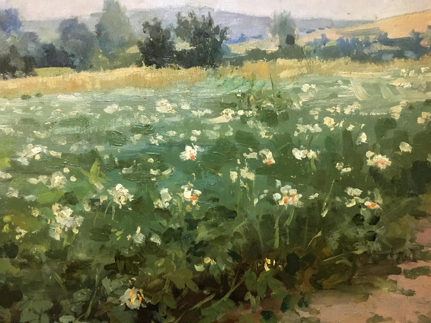 Oil painting Plantation