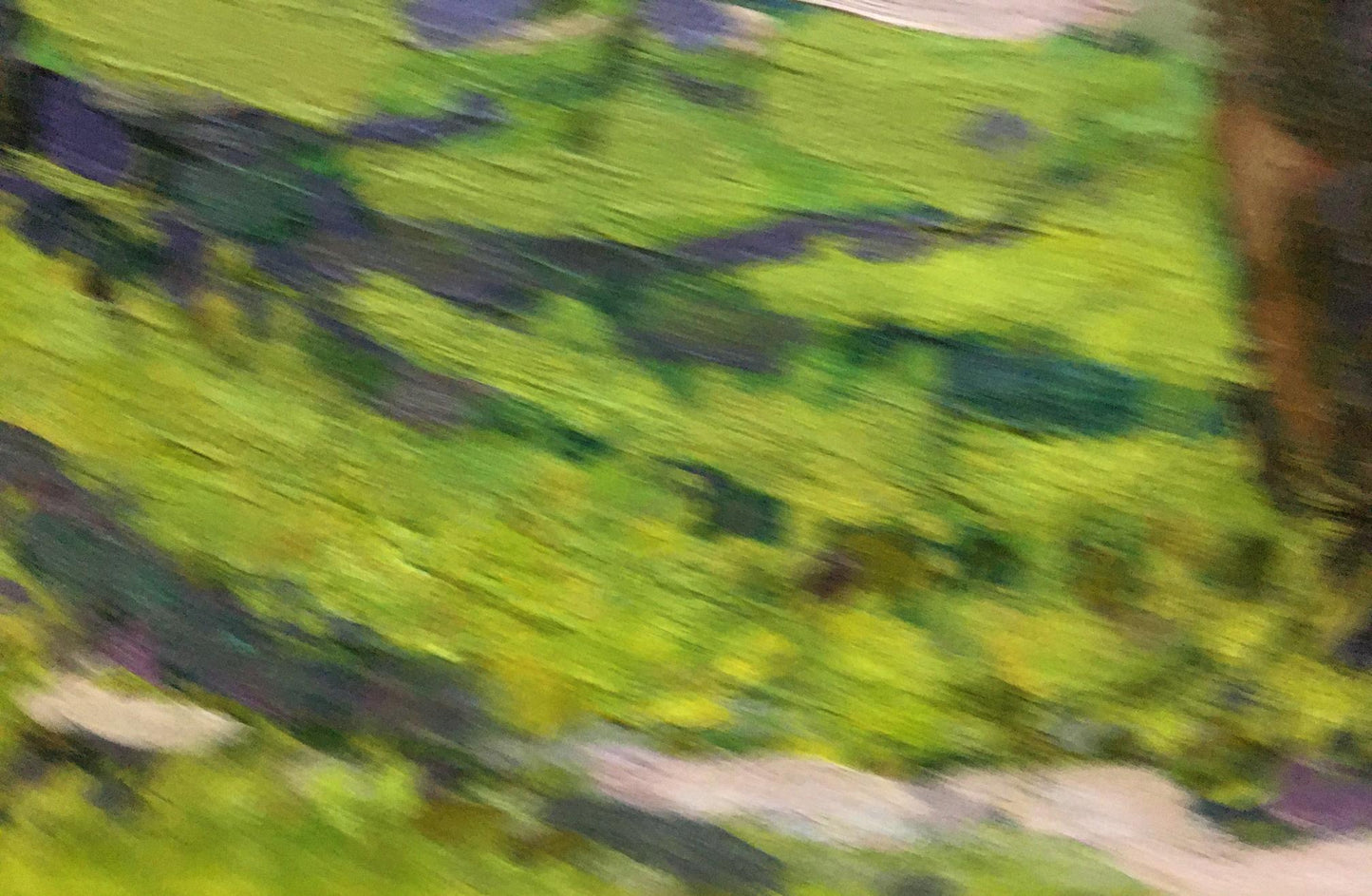 Oil painting Running path in the forest Unknown artist