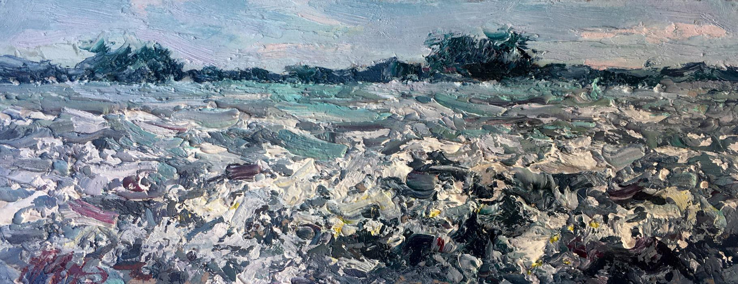 Oil painting Сamomile field Alexander Nikolaevich Cherednichenko