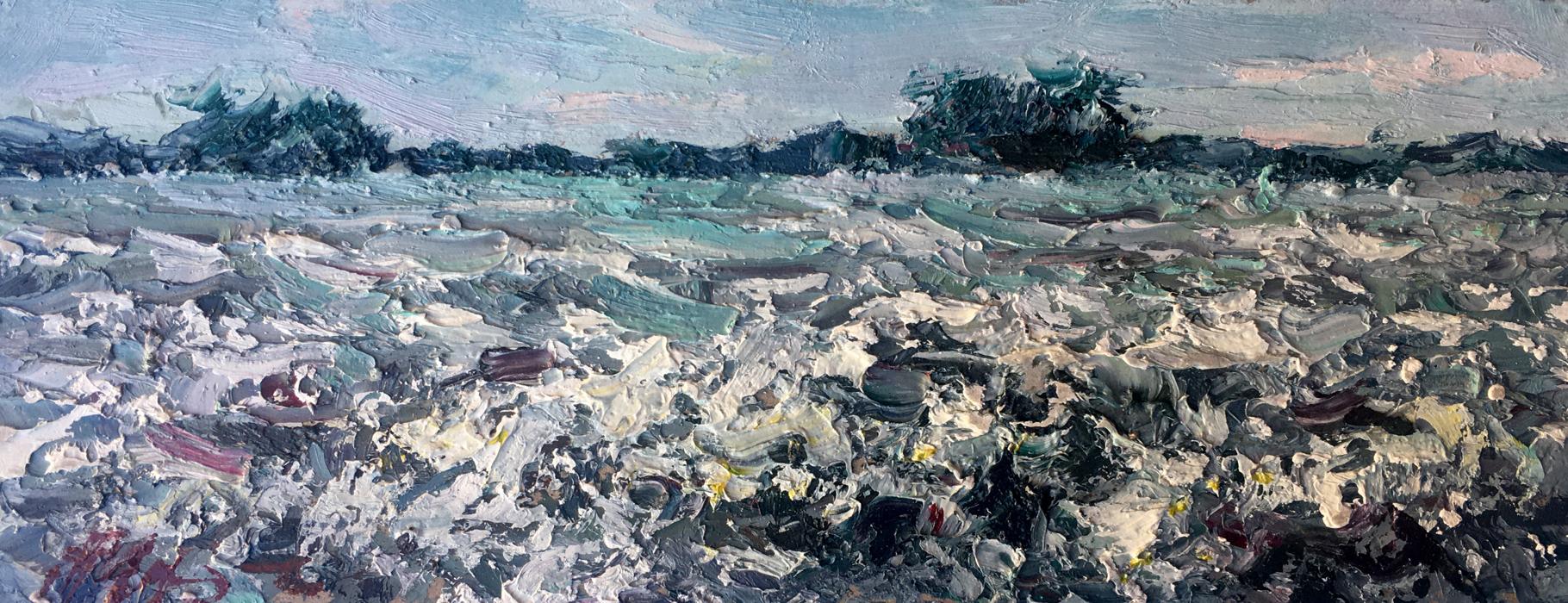 Oil painting Сamomile field Alexander Nikolaevich Cherednichenko