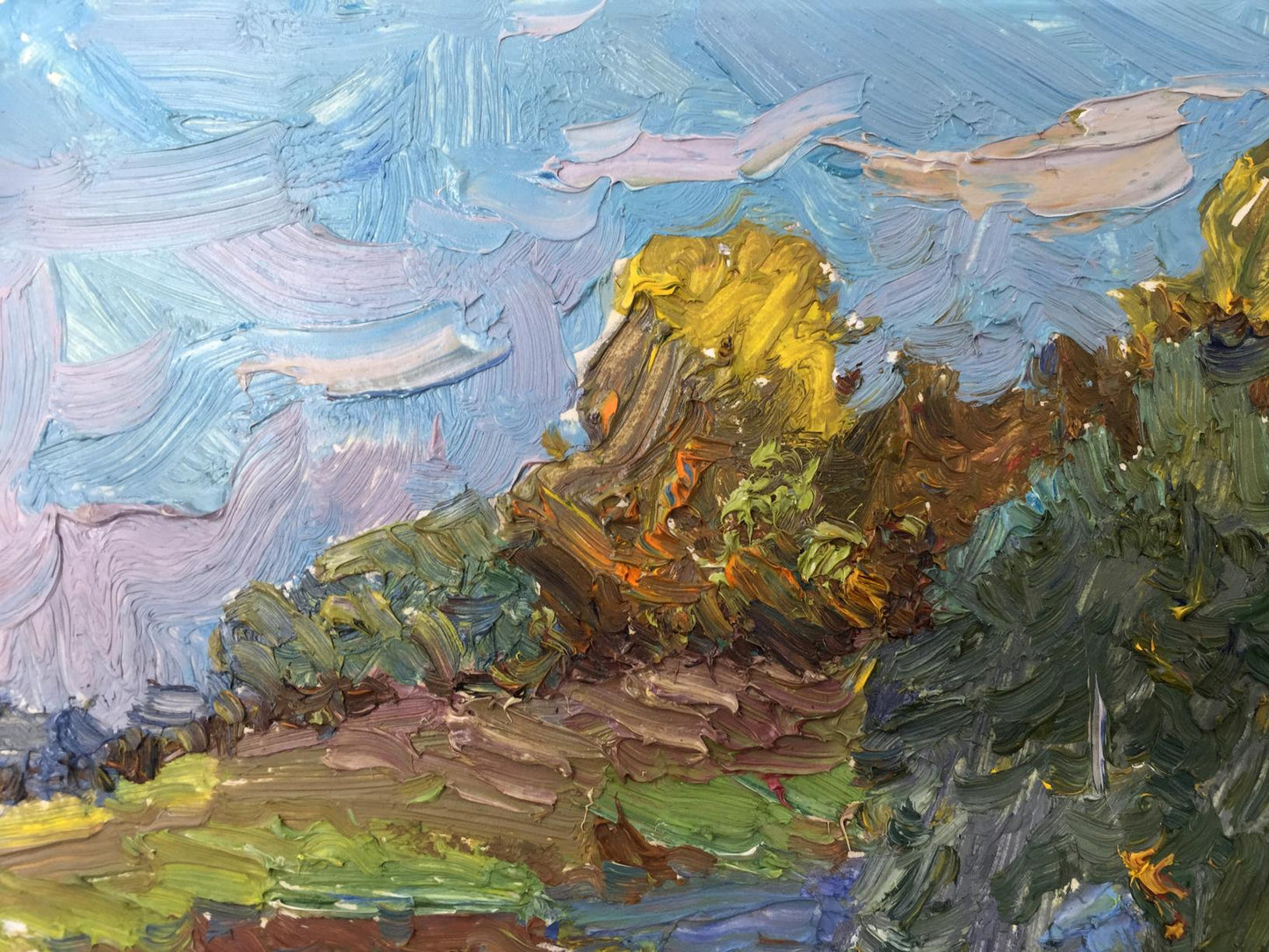 Oil painting Meadows Viktor Grigor'yevich Sevast'yanov