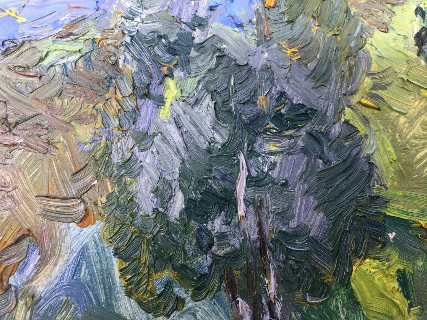 Oil painting Meadows Viktor Grigor'yevich Sevast'yanov