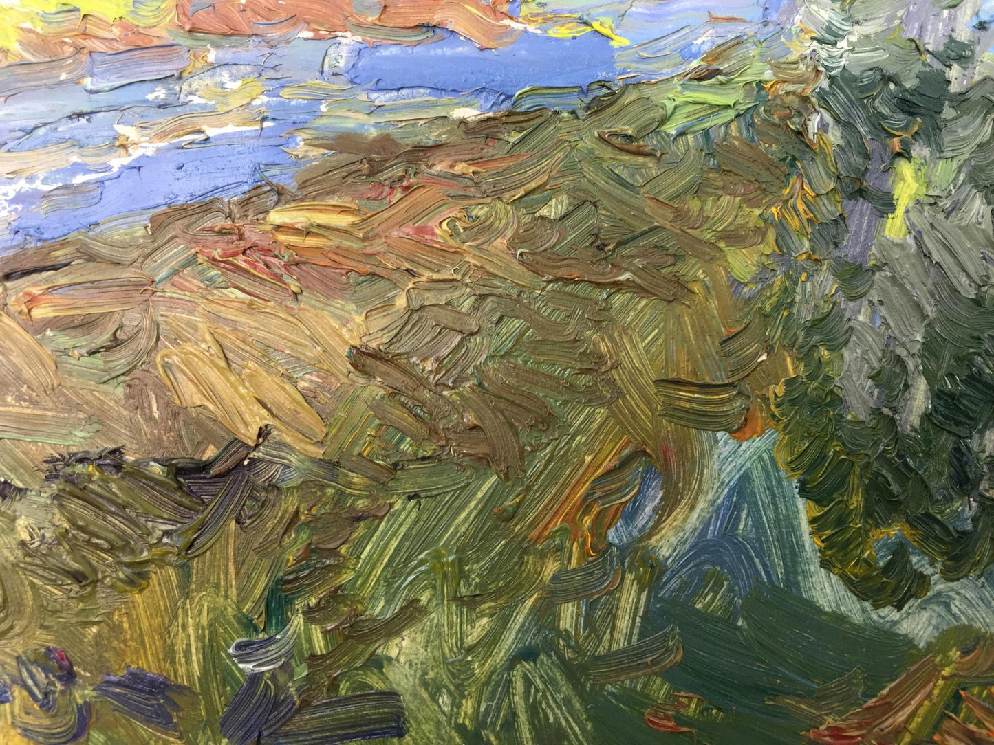 Oil painting Meadows Viktor Grigor'yevich Sevast'yanov