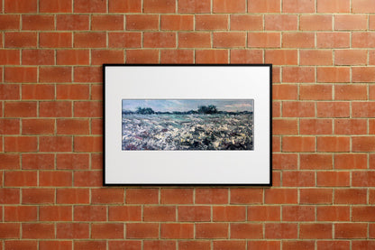 Oil painting Сamomile field 