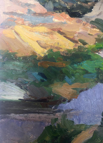 Oil painting Natural plains original picture painter