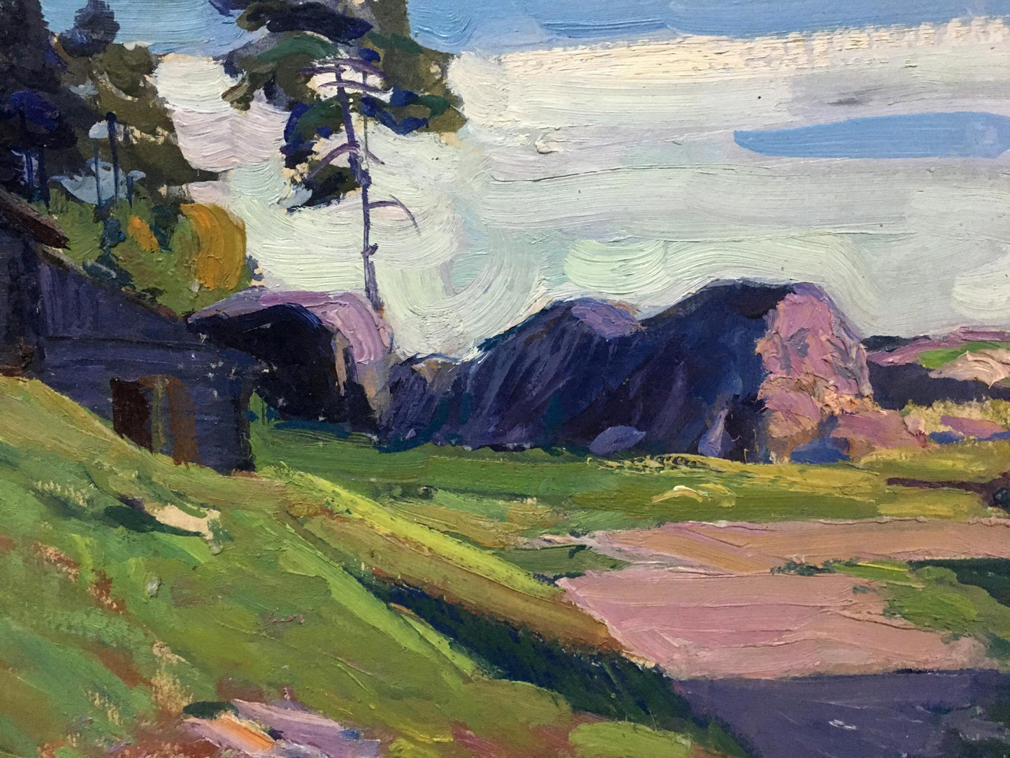 Oil painting Cloudy day in the village Anatoly Fomin