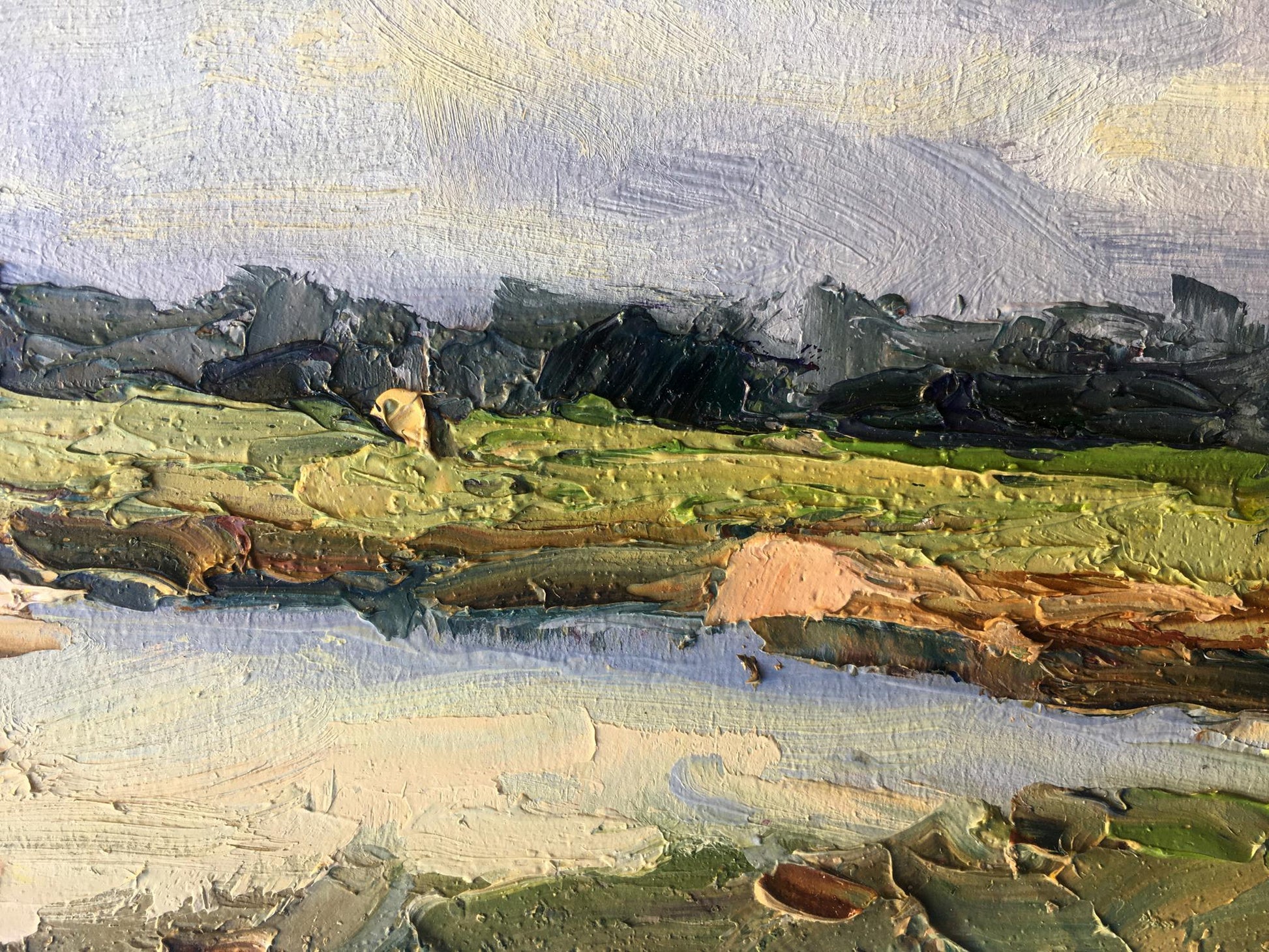 Oil painting lake Summer Nature Landscape 