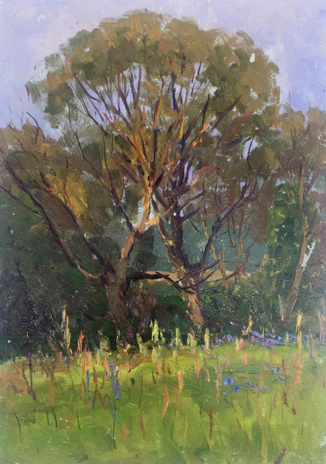 Oil painting In the forest Demeshah Y. A. Kolotsyup