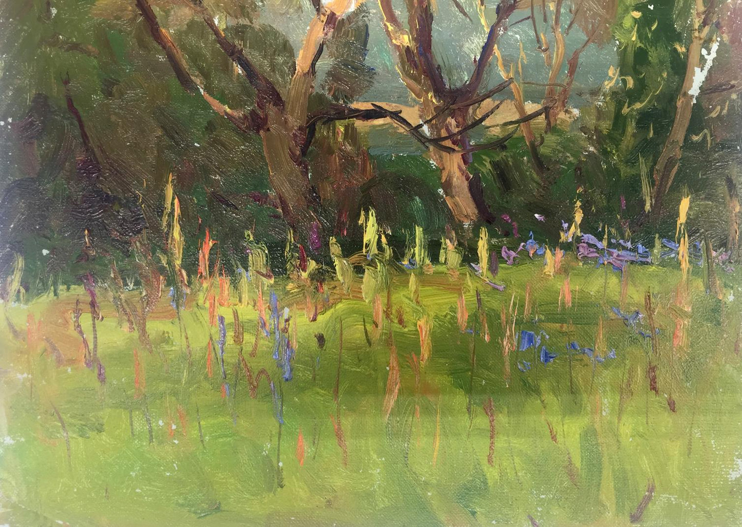 Oil painting In the forest Demeshah Y. A. Kolotsyup