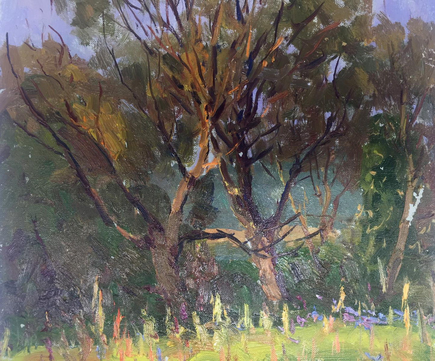 Oil painting In the forest Demeshah Y. A. Kolotsyup