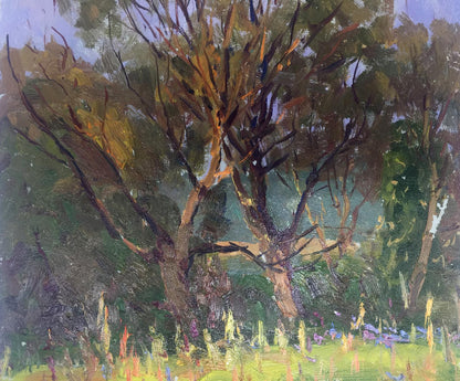 Oil painting In the forest Demeshah Y. A. Kolotsyup