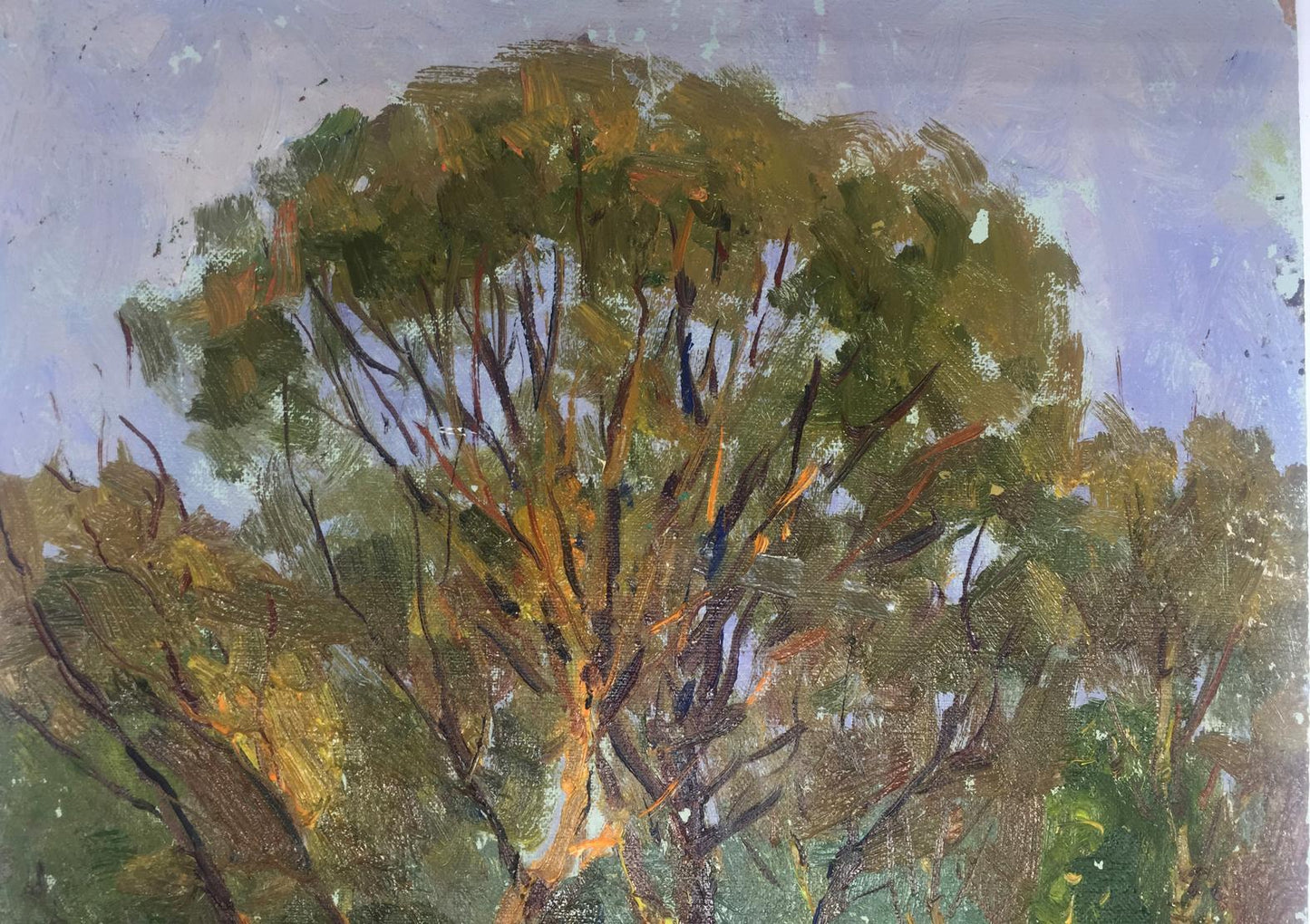 Oil painting In the forest Demeshah Y. A. Kolotsyup