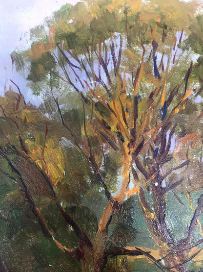 Oil painting In the forest Demeshah Y. A. Kolotsyup