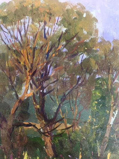 Oil painting In the forest Demeshah Y. A. Kolotsyup