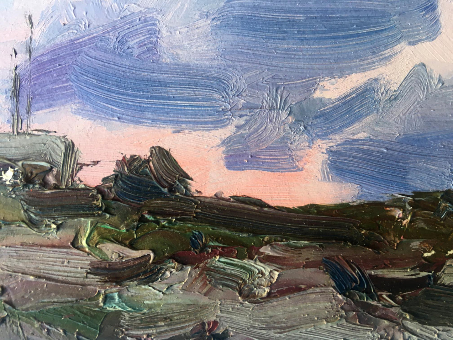 Evening rural landscape