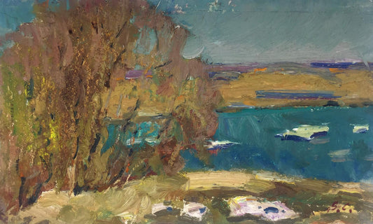 Oil painting River Viktor Grigor'yevich Sevast'yanov