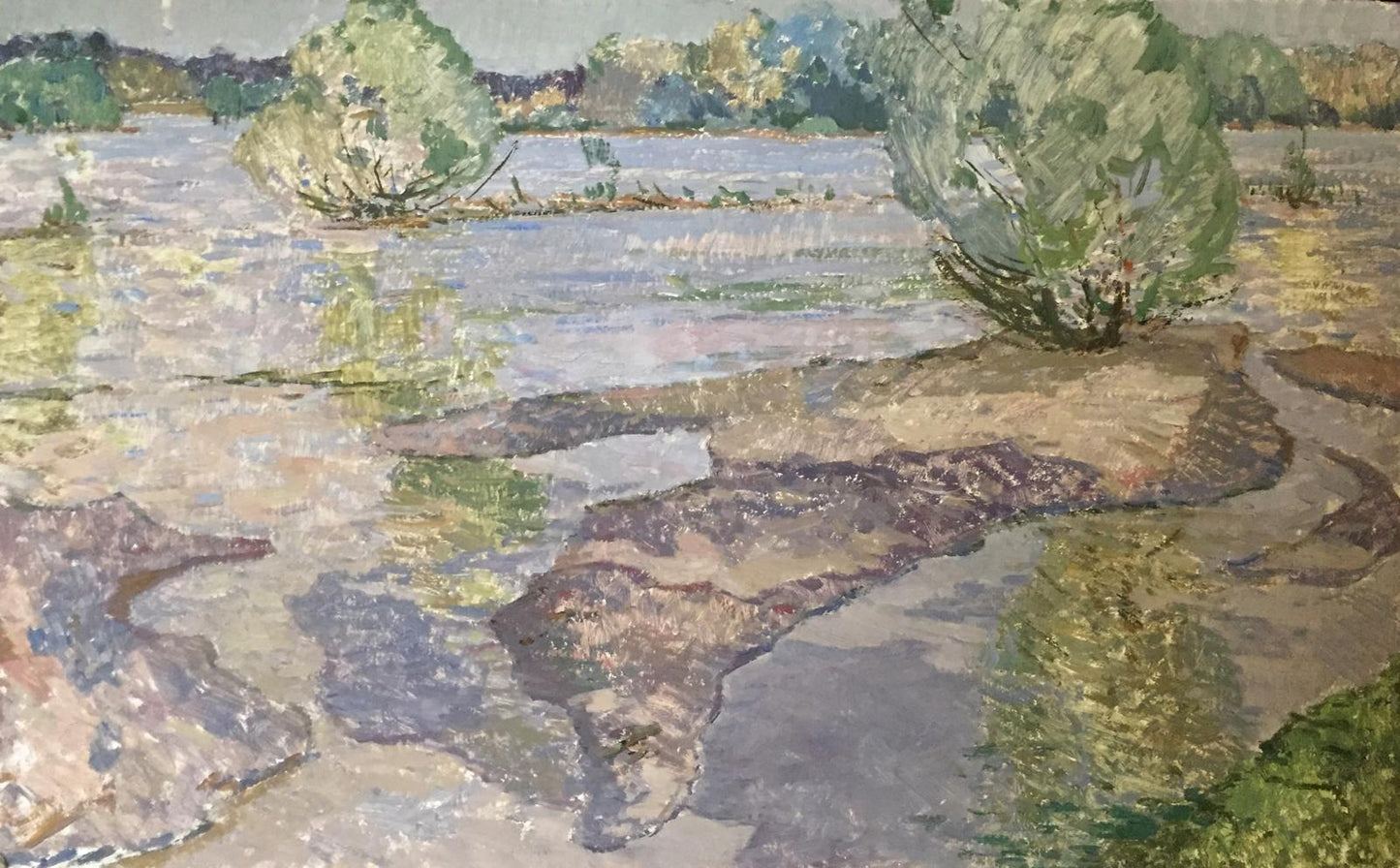 Oil painting Flooding Sevastyanov Viktor Grigorievich