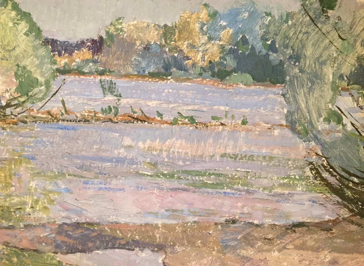 Oil painting Flooding Sevastyanov Viktor Grigorievich