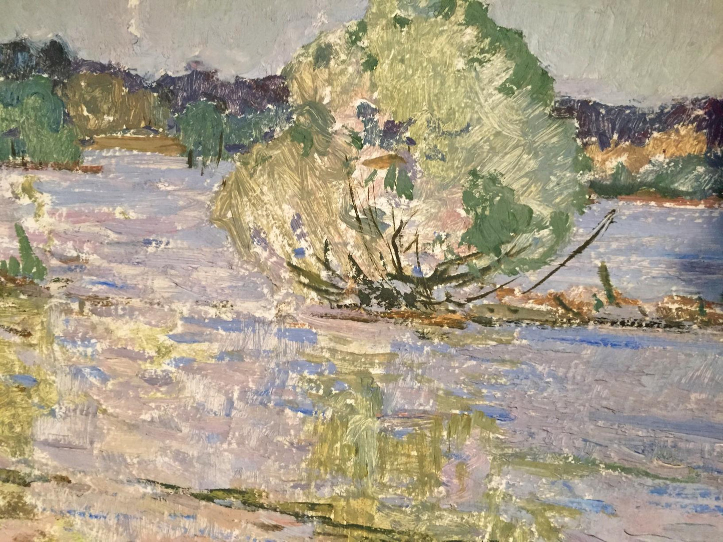 Oil painting Flooding Sevastyanov Viktor Grigorievich