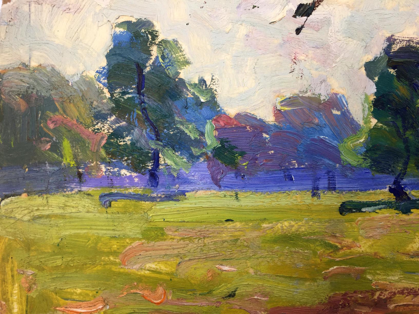 Oil painting Forest park original picture painter