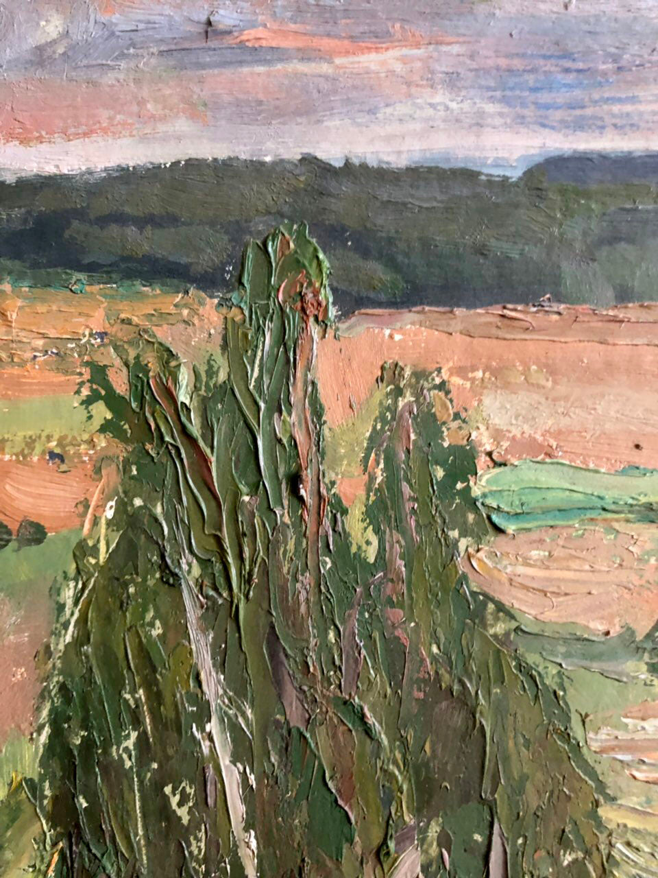 Oil painting Meadows Ryzhykh Viktor