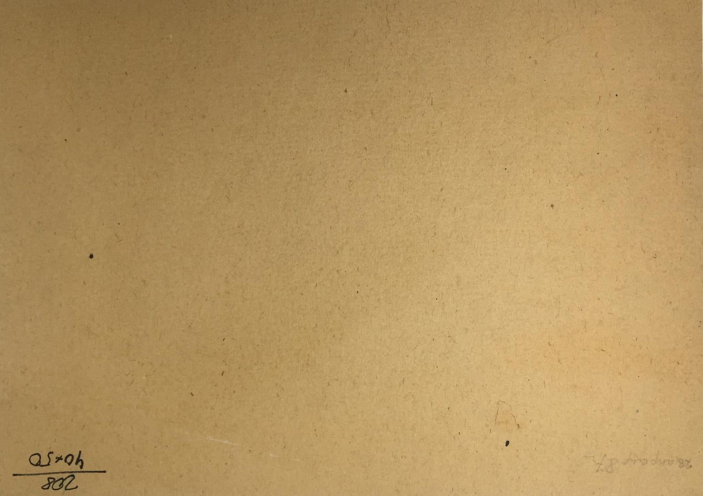 Oil painting Forest swamp original picture painter