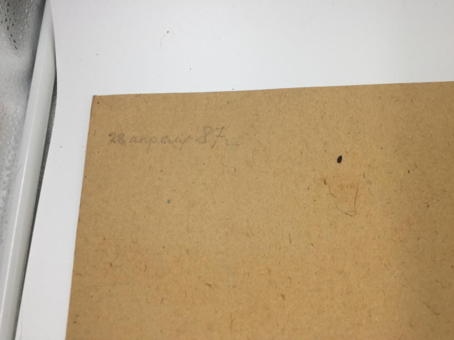 Oil painting Forest swamp original picture painter