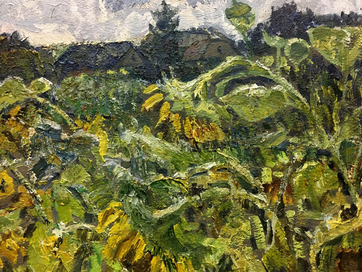 Oil painting Field of sunflowers Zvyagintsev Rostislav Mikhailovich
