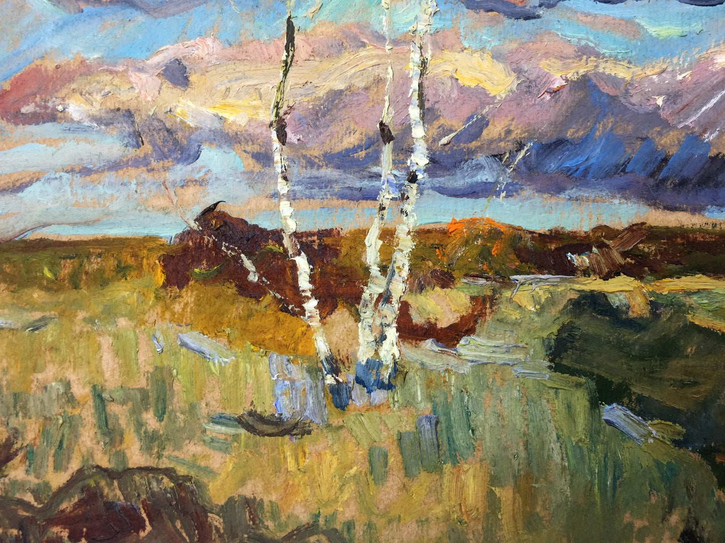 Oil painting Meadows Sevast'yanov Viktor Grigor'yevich