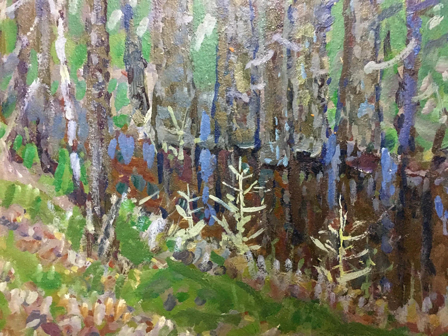 Oil painting In the woods Kolomoitsev Petr Mikhailovich