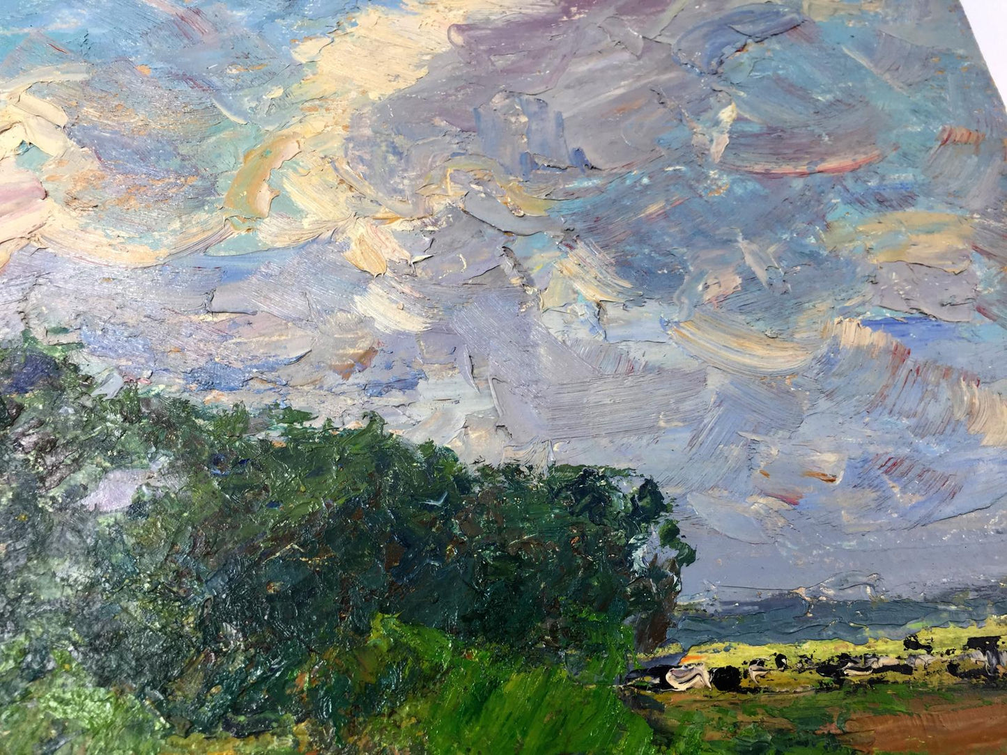 Oil painting After the rain on the field Sevast'yanov Viktor Grigor'yevich